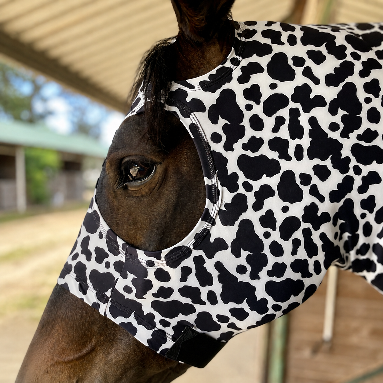 Cow Print Hood Sleazy
