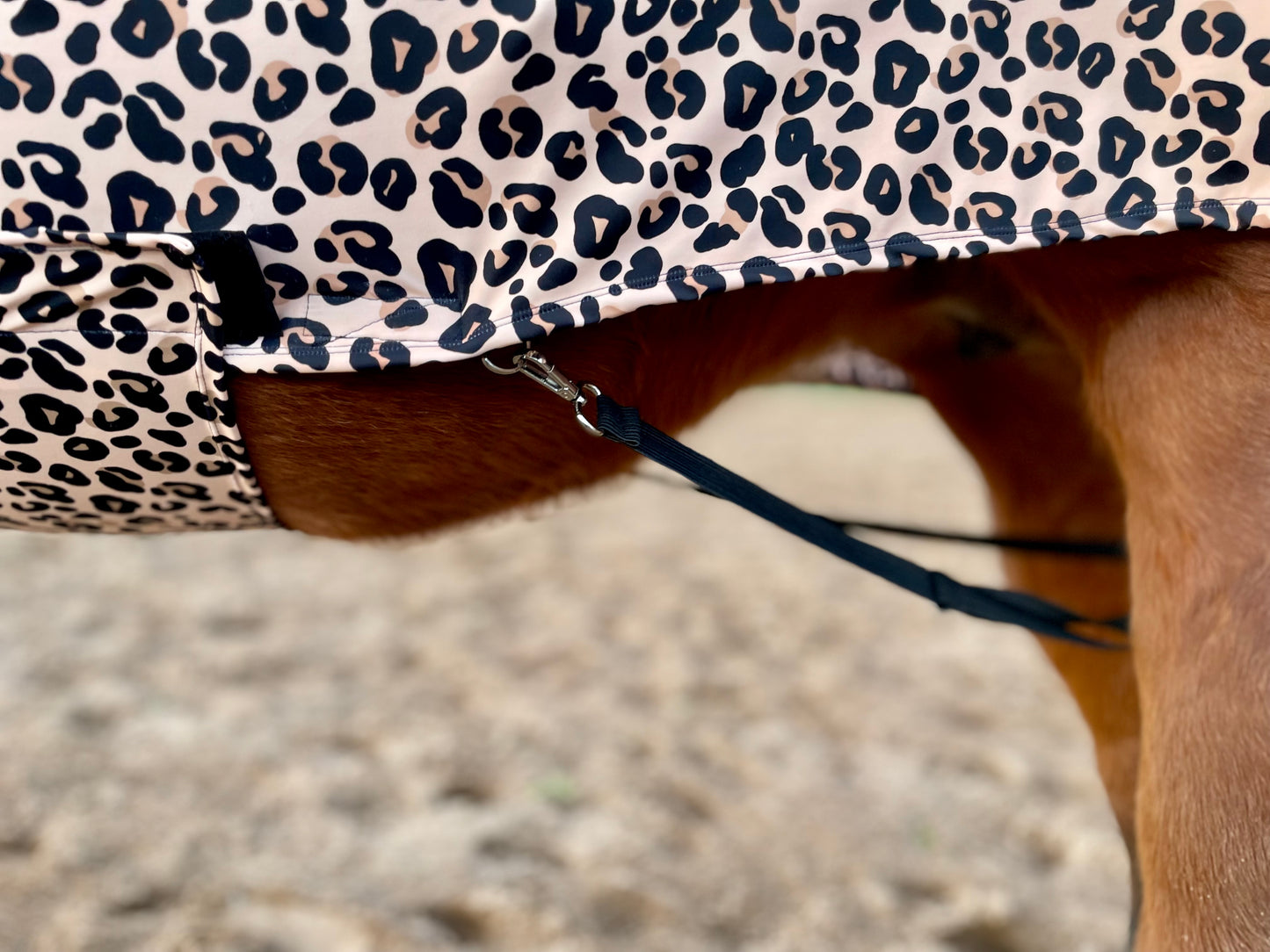 Leopard Full Body Sleazy