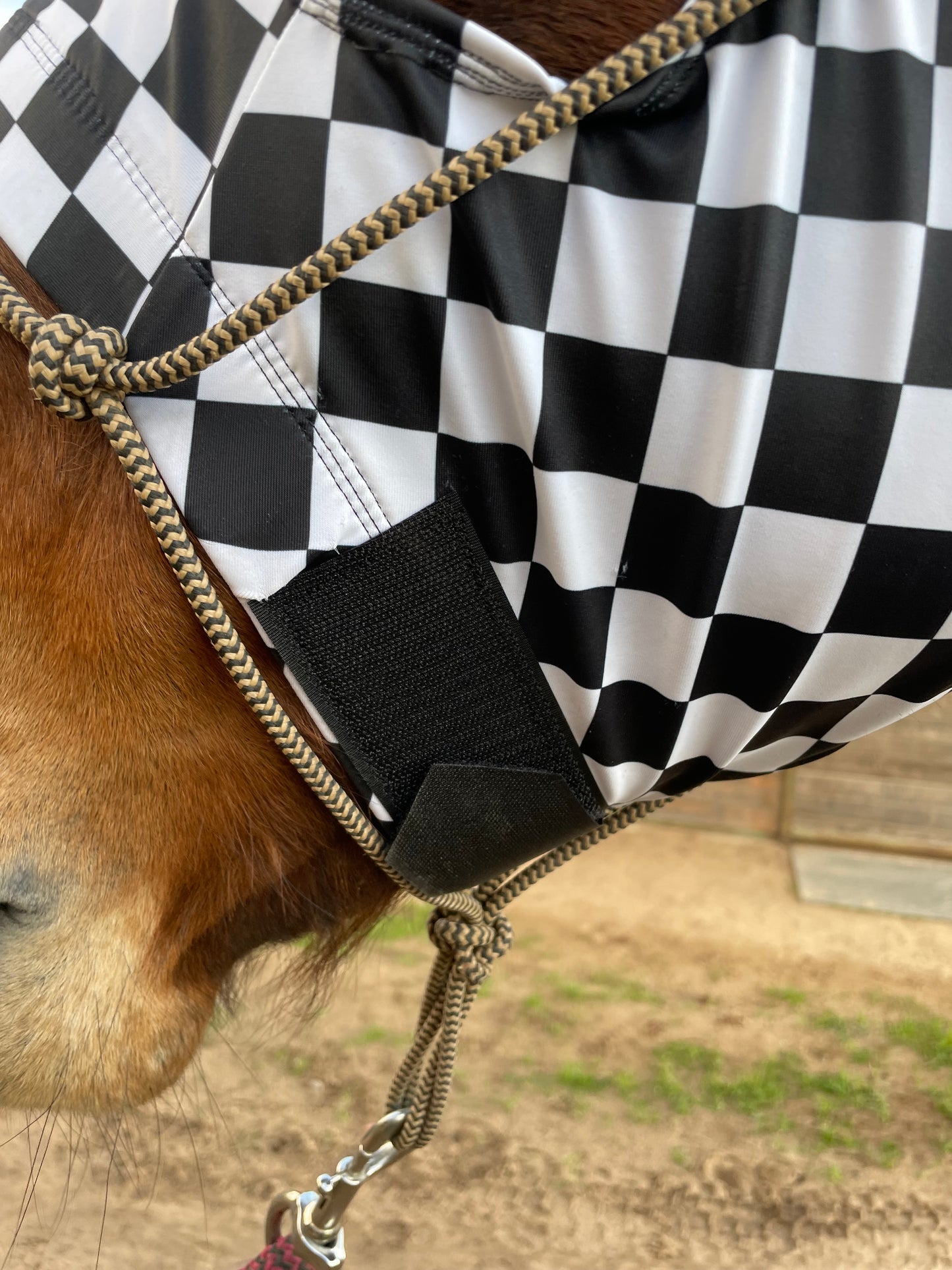 Checkered Sleazy Hood