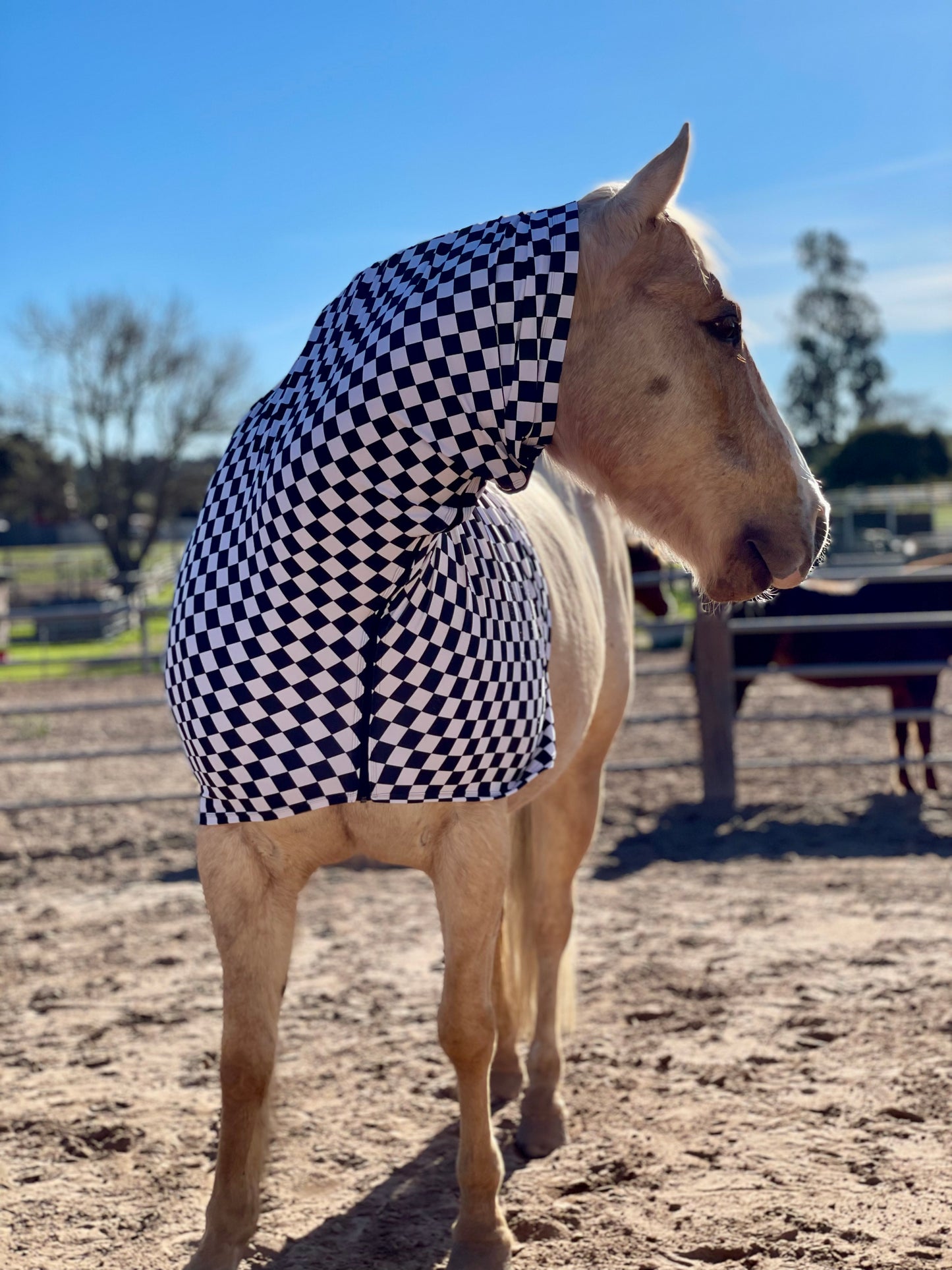 Checkered B&W Faceless Hood Sleazy