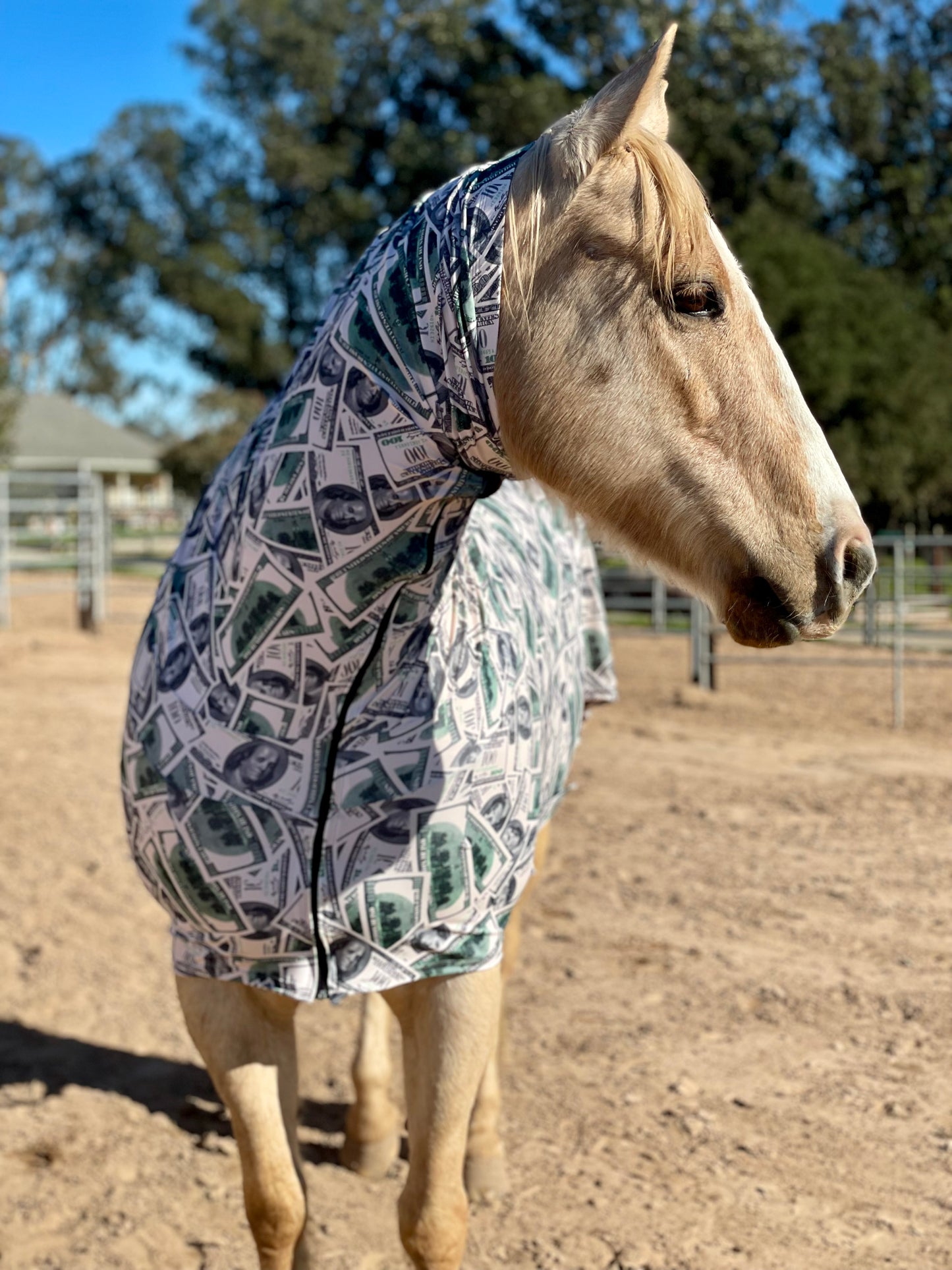 Money Faceless Full Body Sleazy