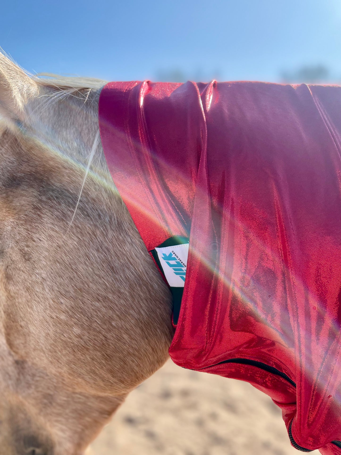 Metallic Red Faceless Hood Sleazy