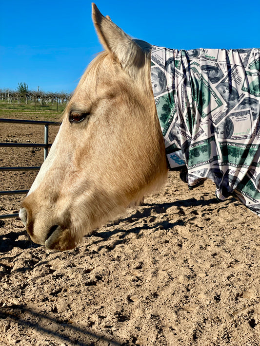 Money Faceless Hood Sleazy