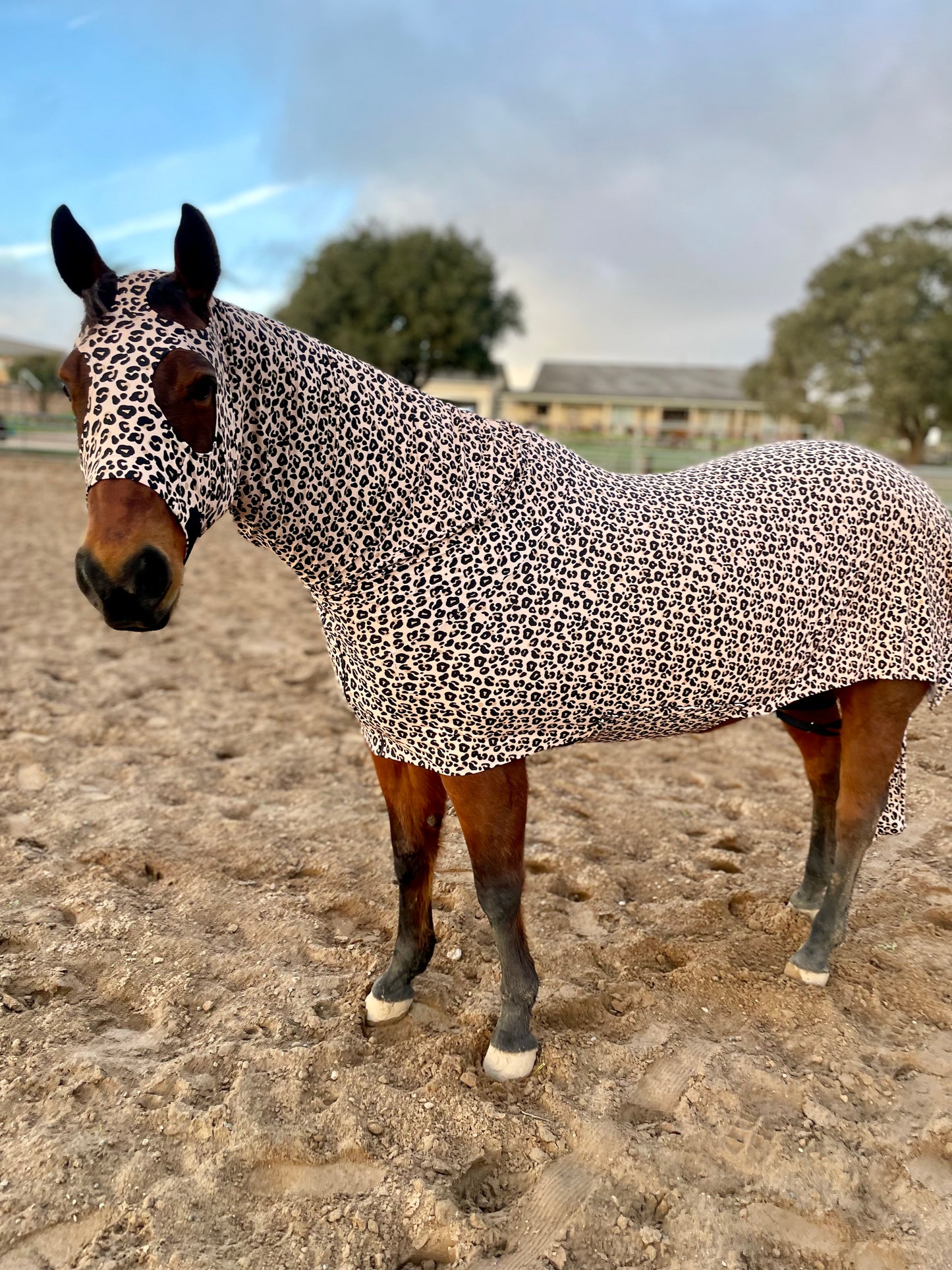 Leopard Full Body Sleazy