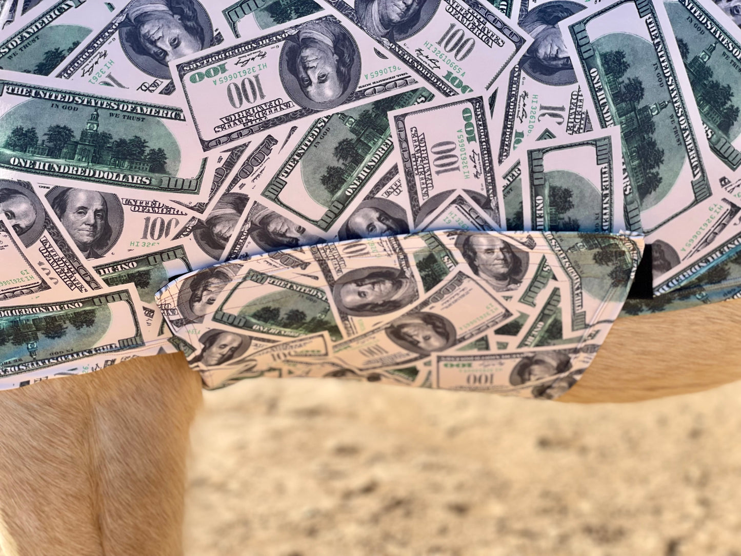 Money Full Body Sleazy