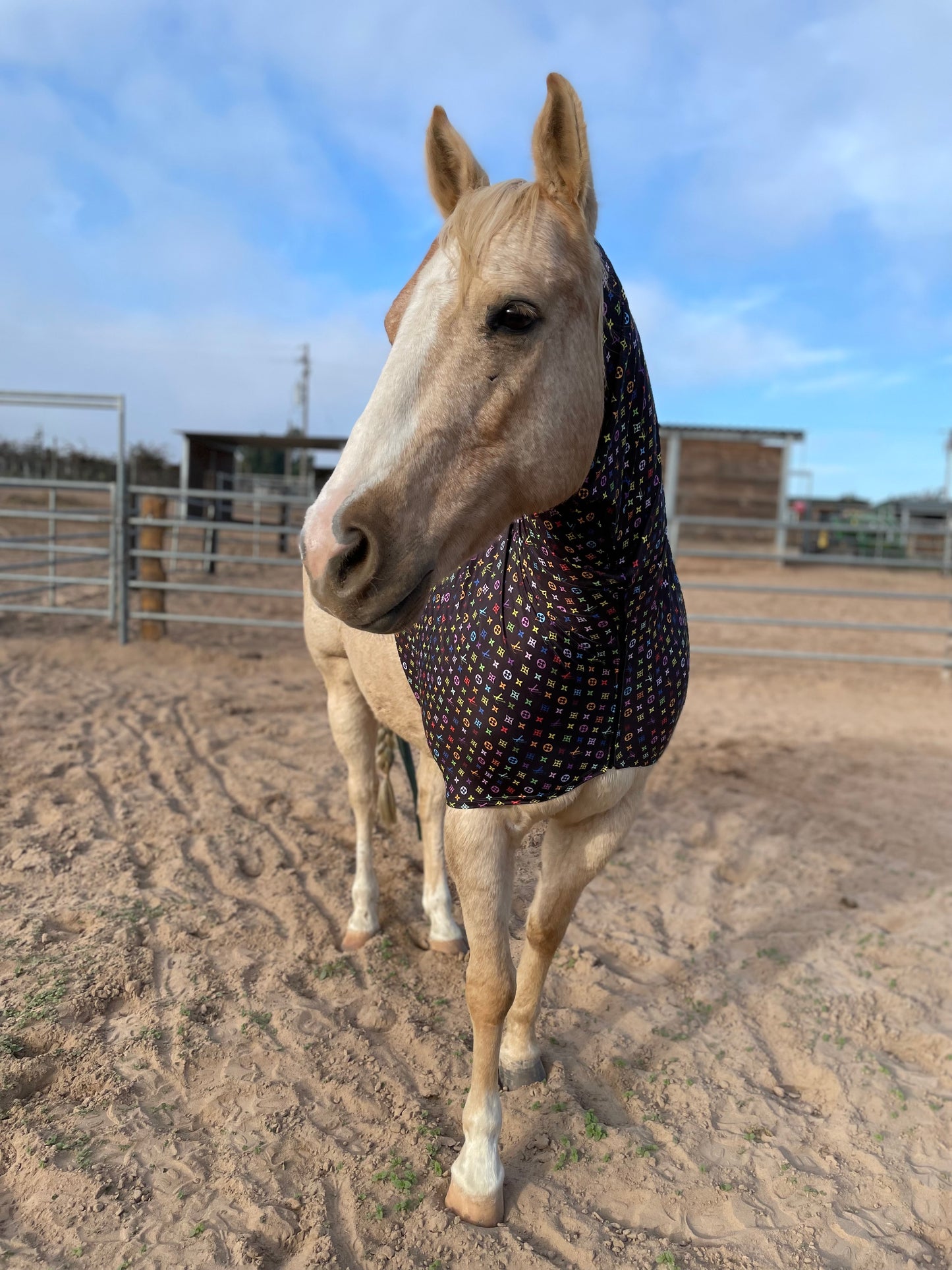 LV in Color Faceless Sleazy Hood