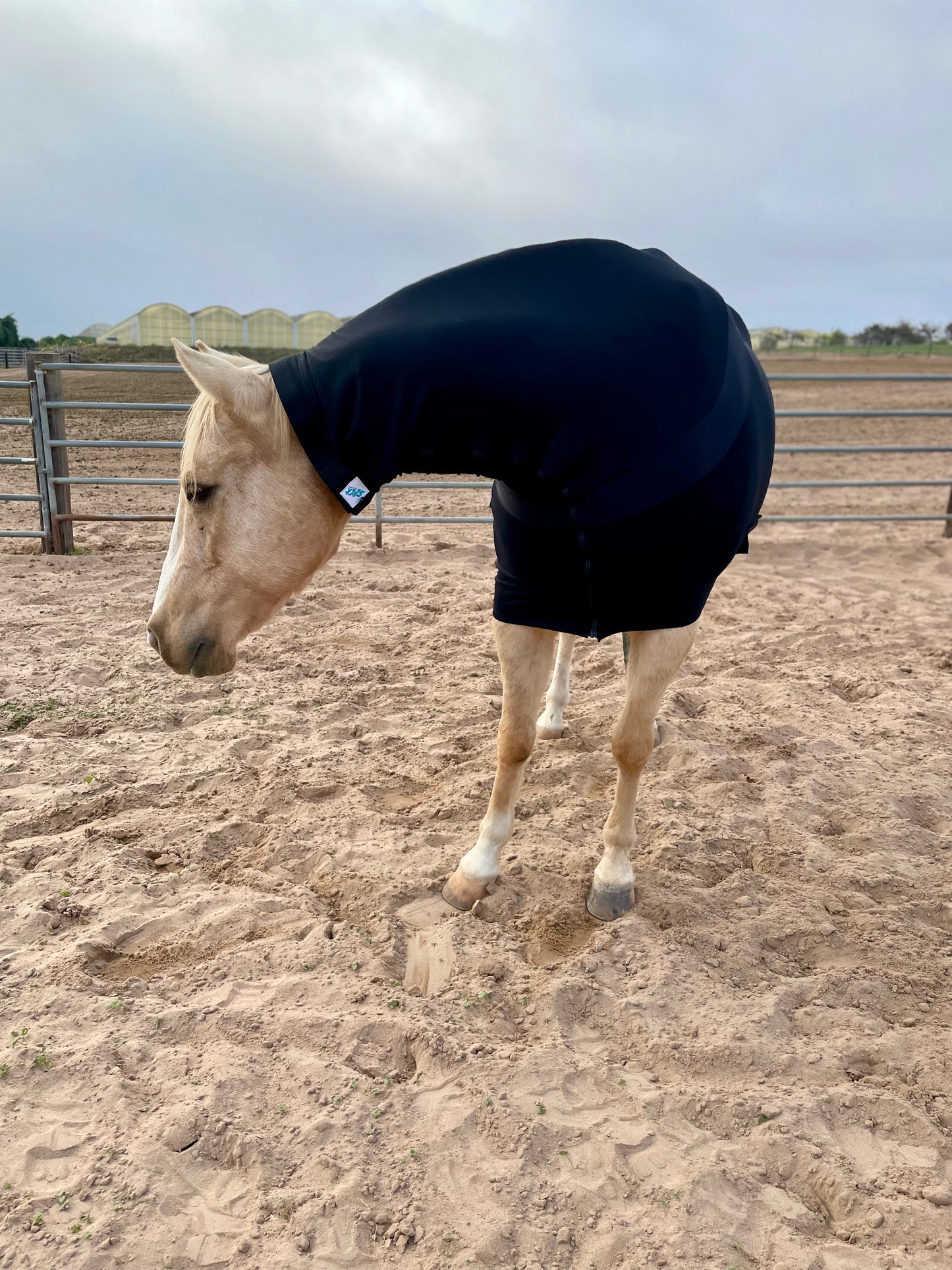 Black SuperFlex Compression Faceless Full Body Sleazy