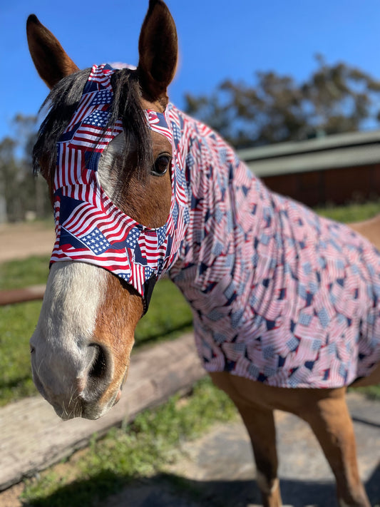 Stars and Stripes Sleazy Hood