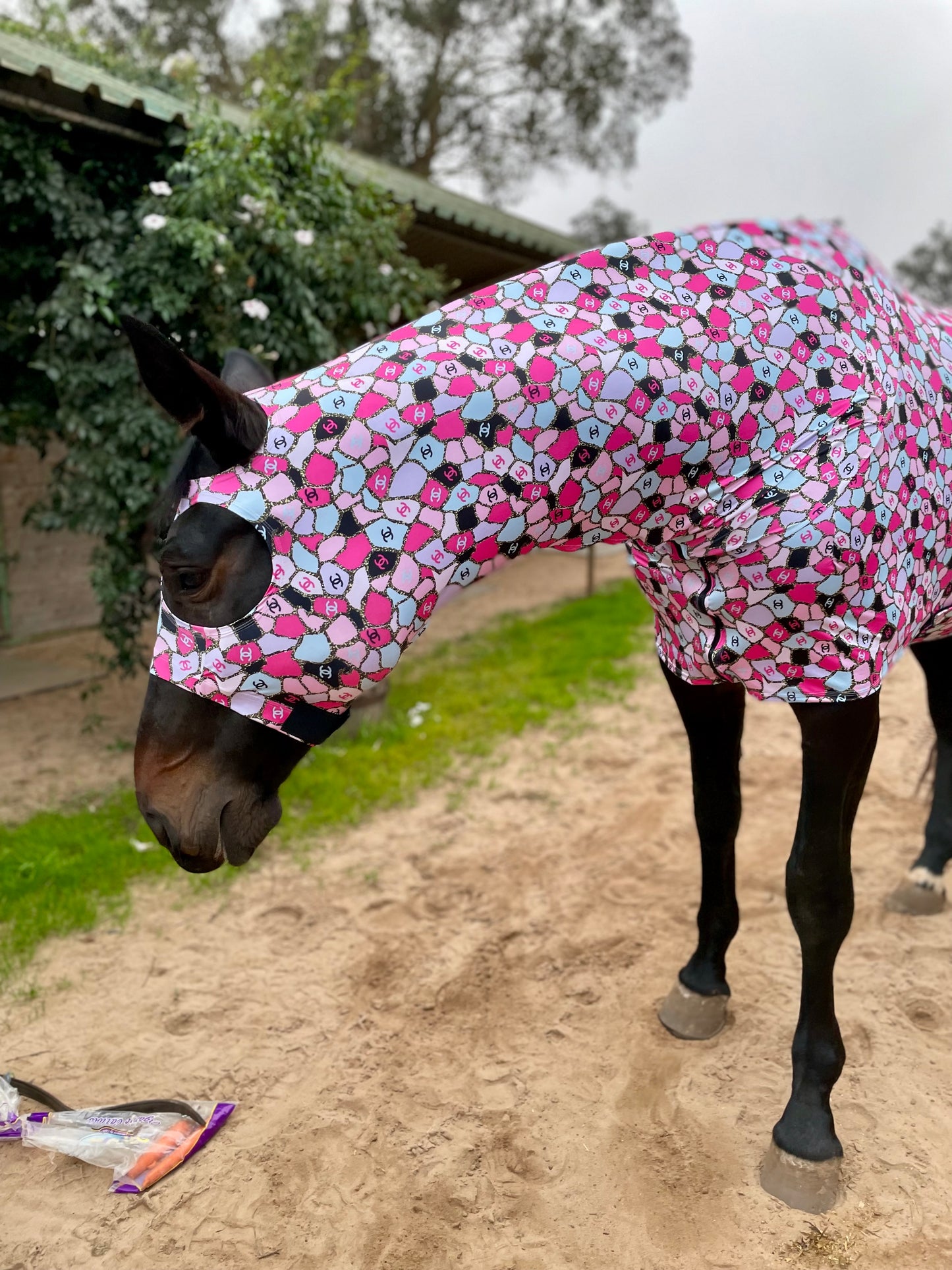 Pink Coco Full Body Sleazy