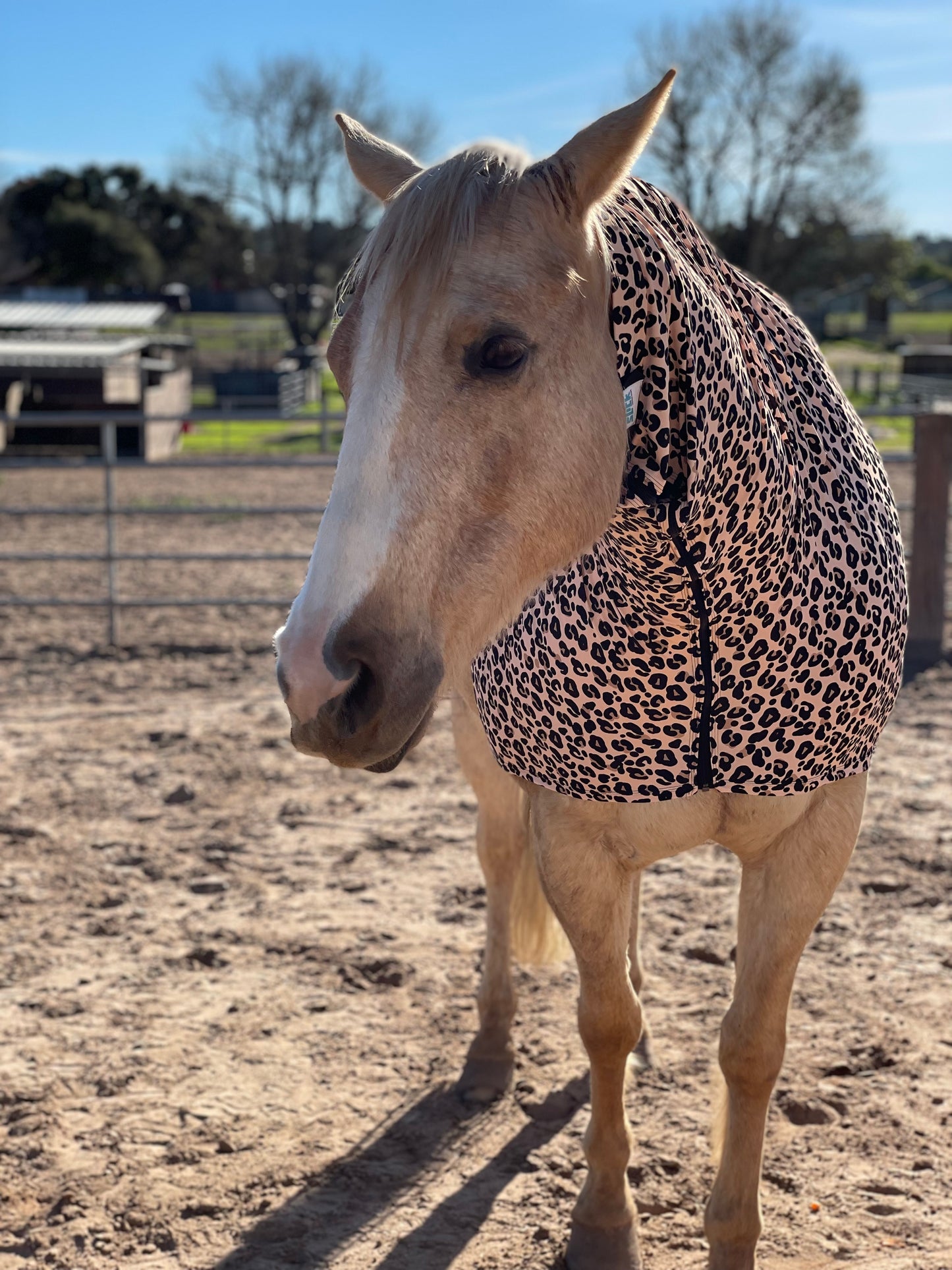 Leopard Faceless Hood Sleazy