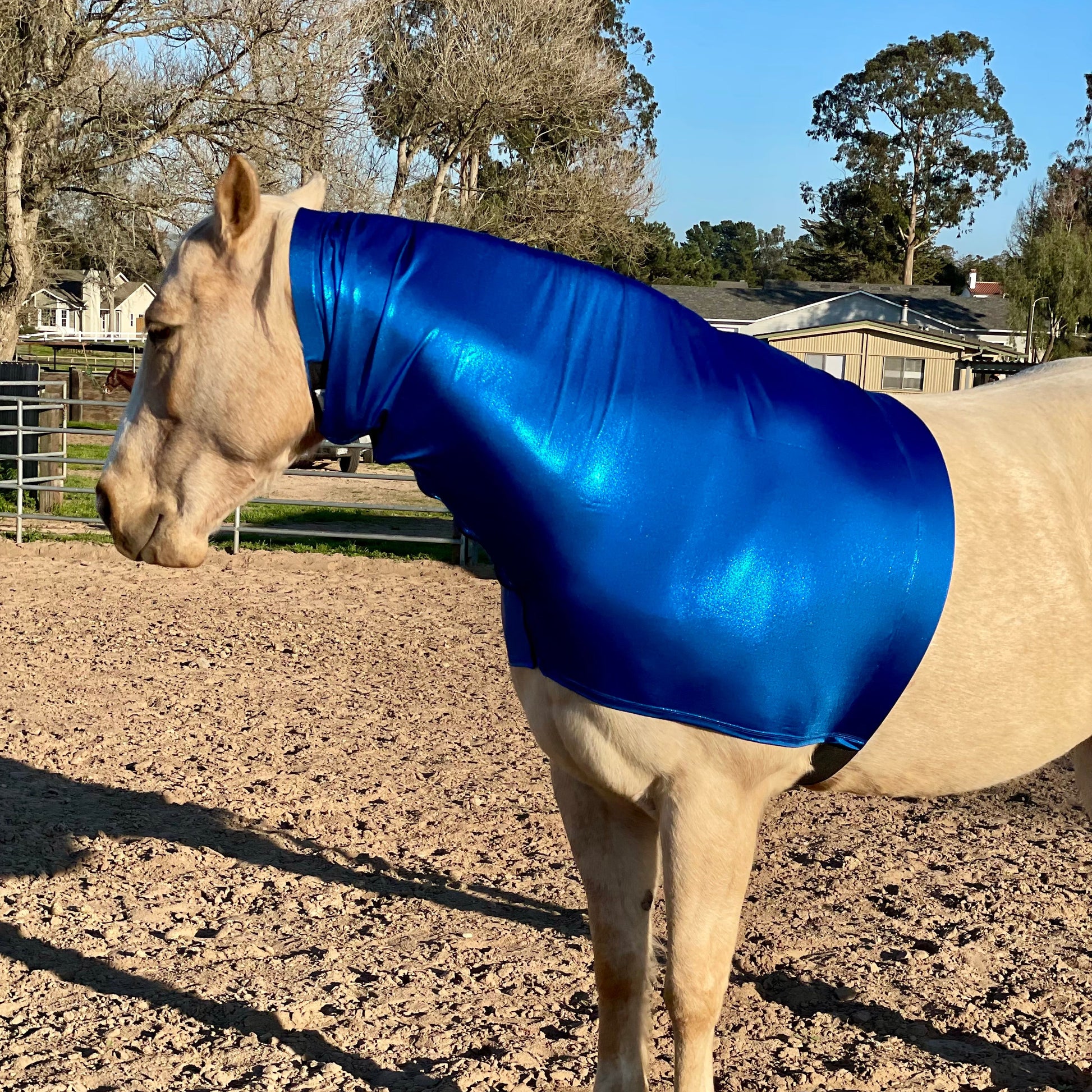 Metallic royal blue faceless hood by slickhorseware.com