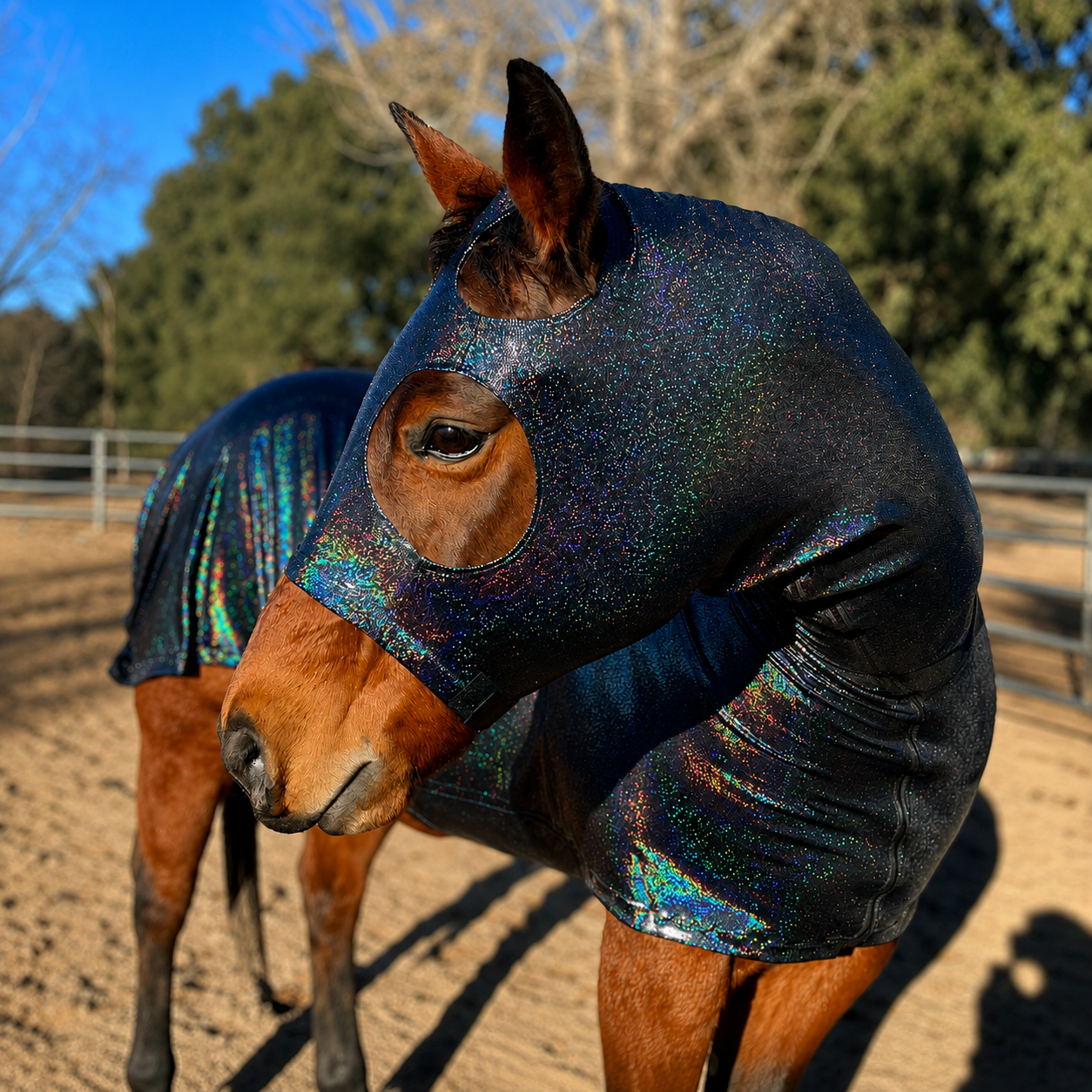 Hologram Black Full Body Sleazy