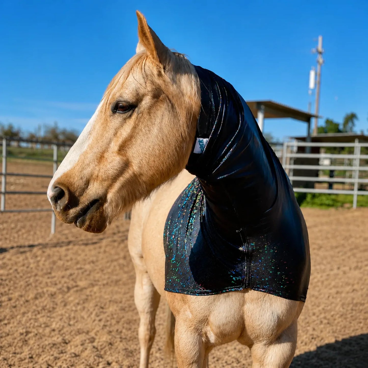 Horse wearing a sparkly hologram black faceless hood sleazy in an outdoor setting