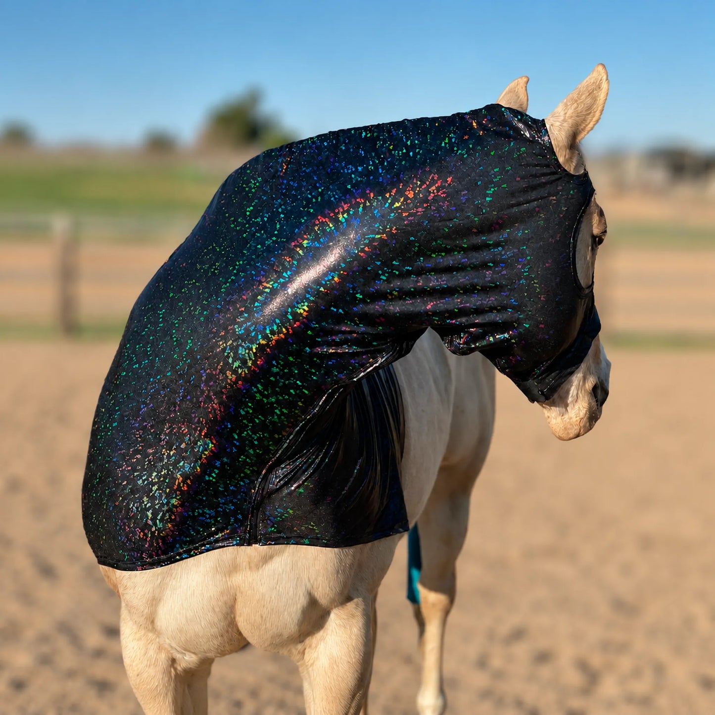 A light-colored horse standing in a sandy outdoor arena wearing a shiny black hologram sleazy hood with an iridescent holographic glitter finish.