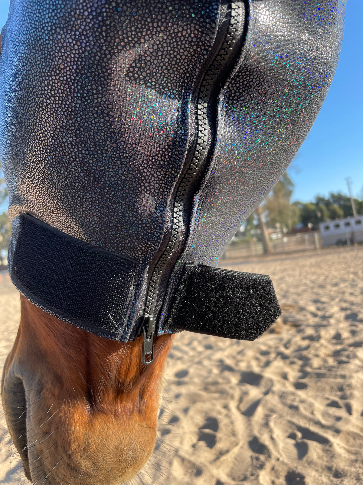 black hologram dragon feature horse costume sleazy hood showing zipper.