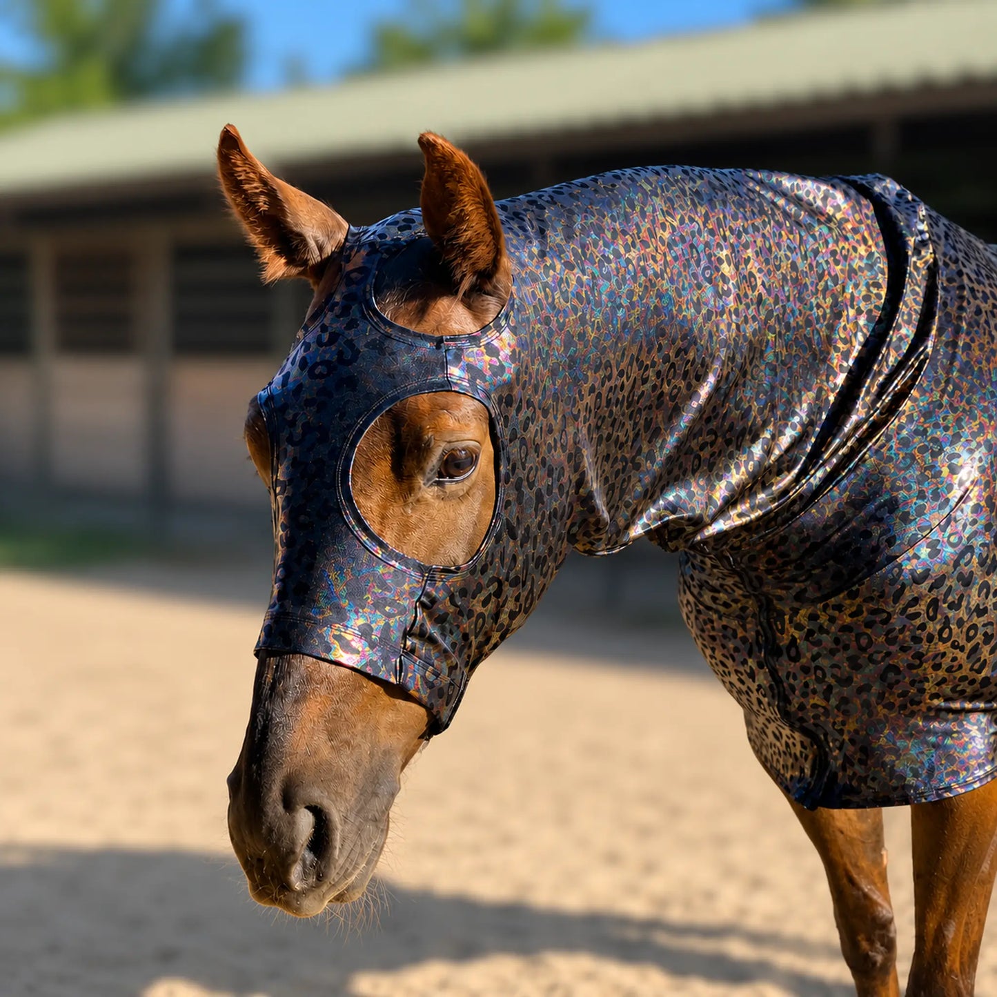 Hologram leopard full body sleazy horse left side showing fitment of face 