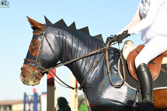 Halloween horse costume holographic black dragon theme sleazy hood with a rider. 