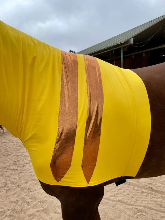 Pikachu Horse Costume
