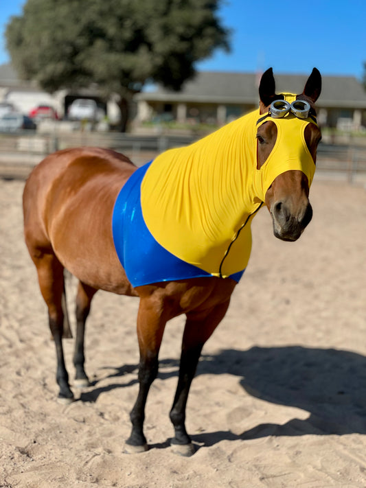 Minions Horse Costume