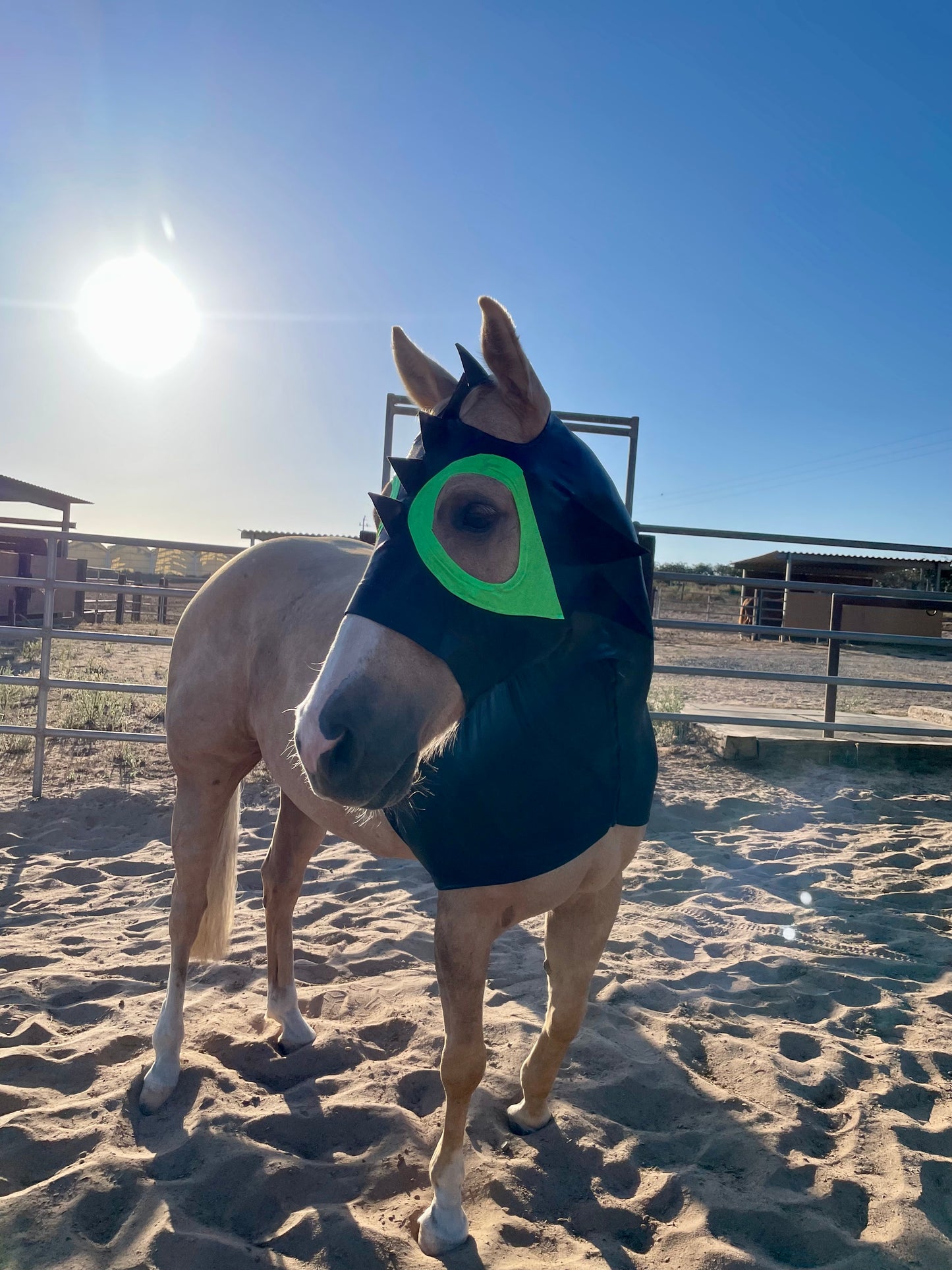 How to Train Your Dragon Horse Costume Hood and Tailbag