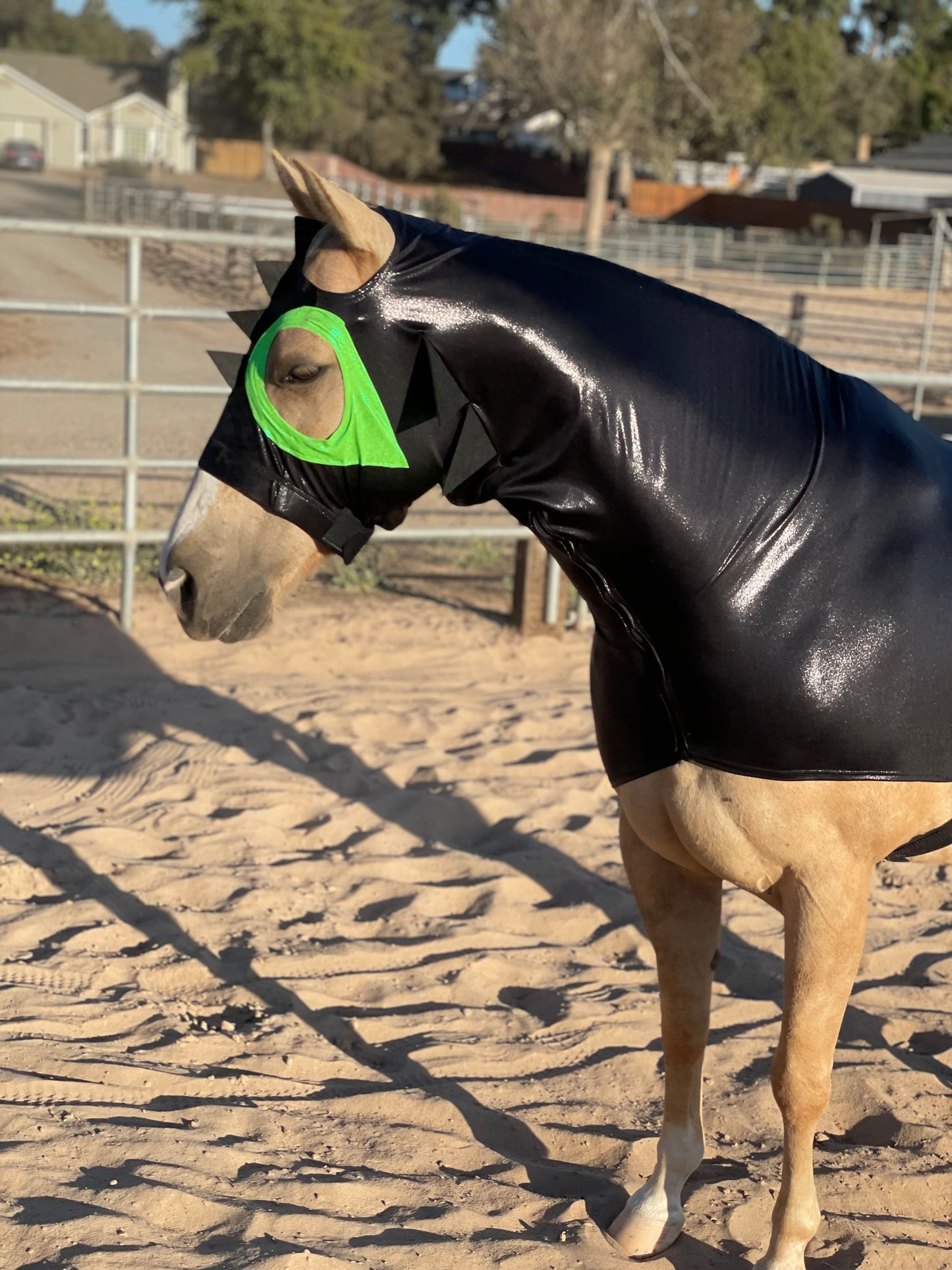 How to Train Your Dragon Horse Costume Hood and Tailbag
