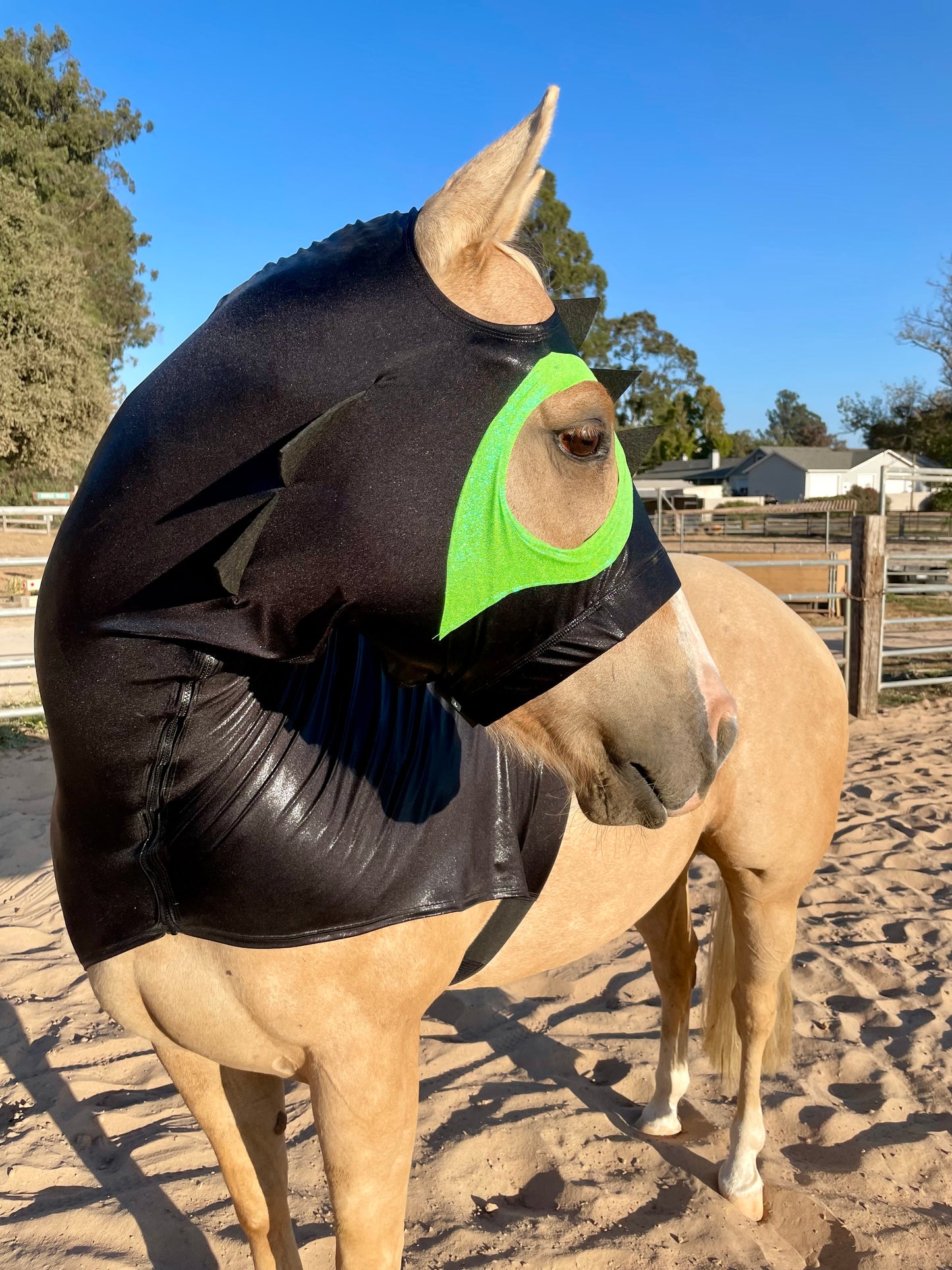How to Train Your Dragon Horse Costume Hood and Tailbag