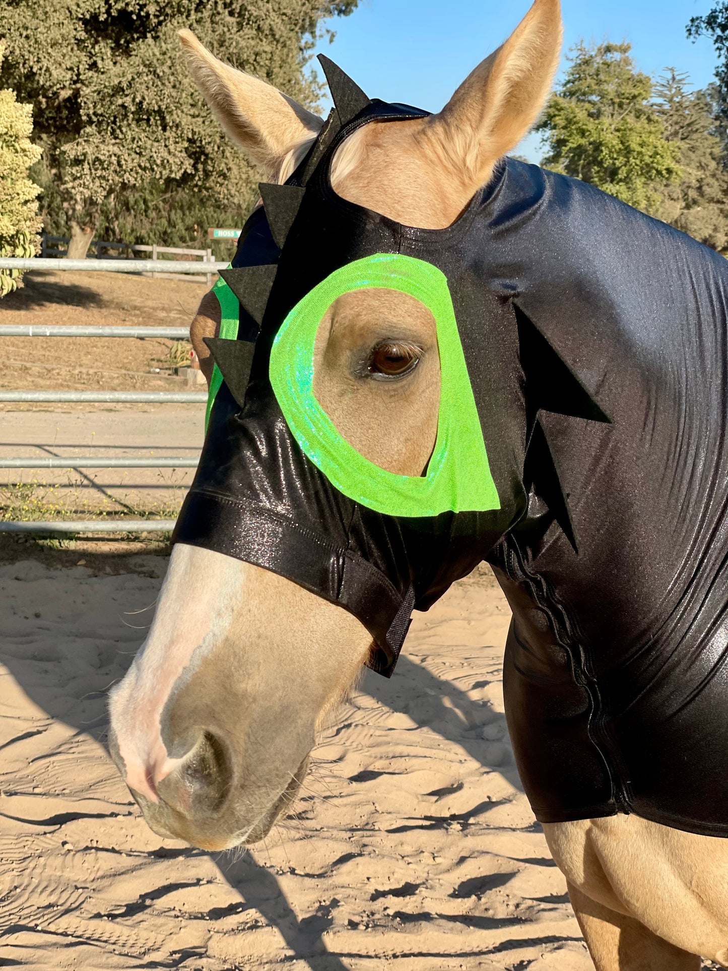 How to Train Your Dragon Horse Costume Hood and Tailbag