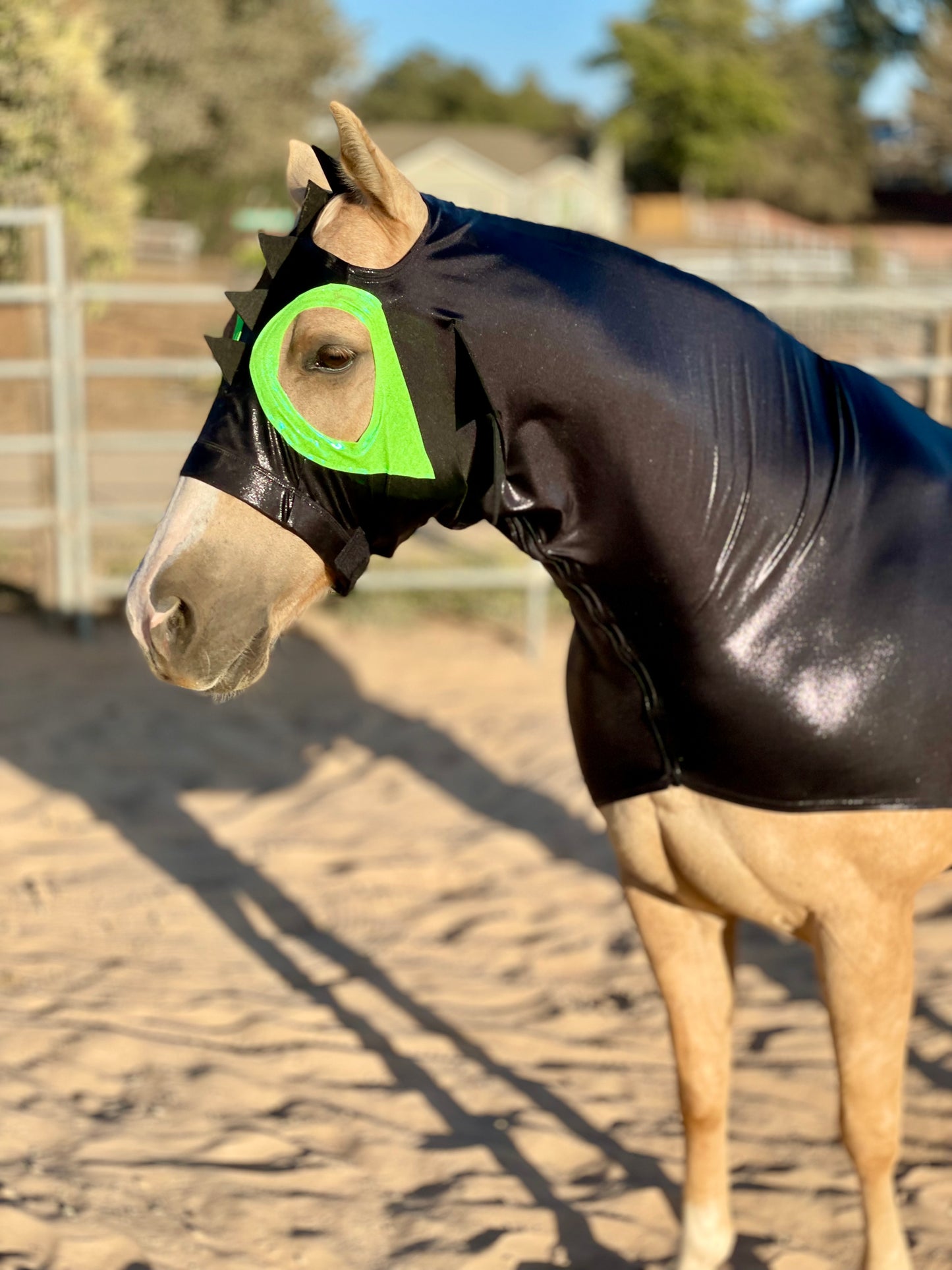 How to Train Your Dragon Horse Costume Hood and Tailbag