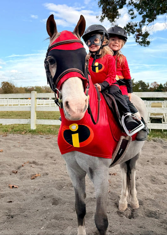 Incredibles Horse Costume Hood