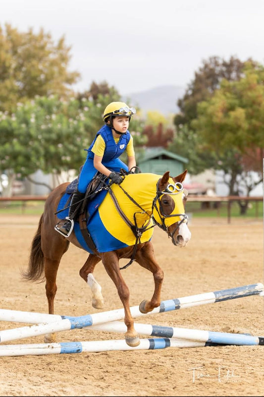Minions Horse Costume Hood