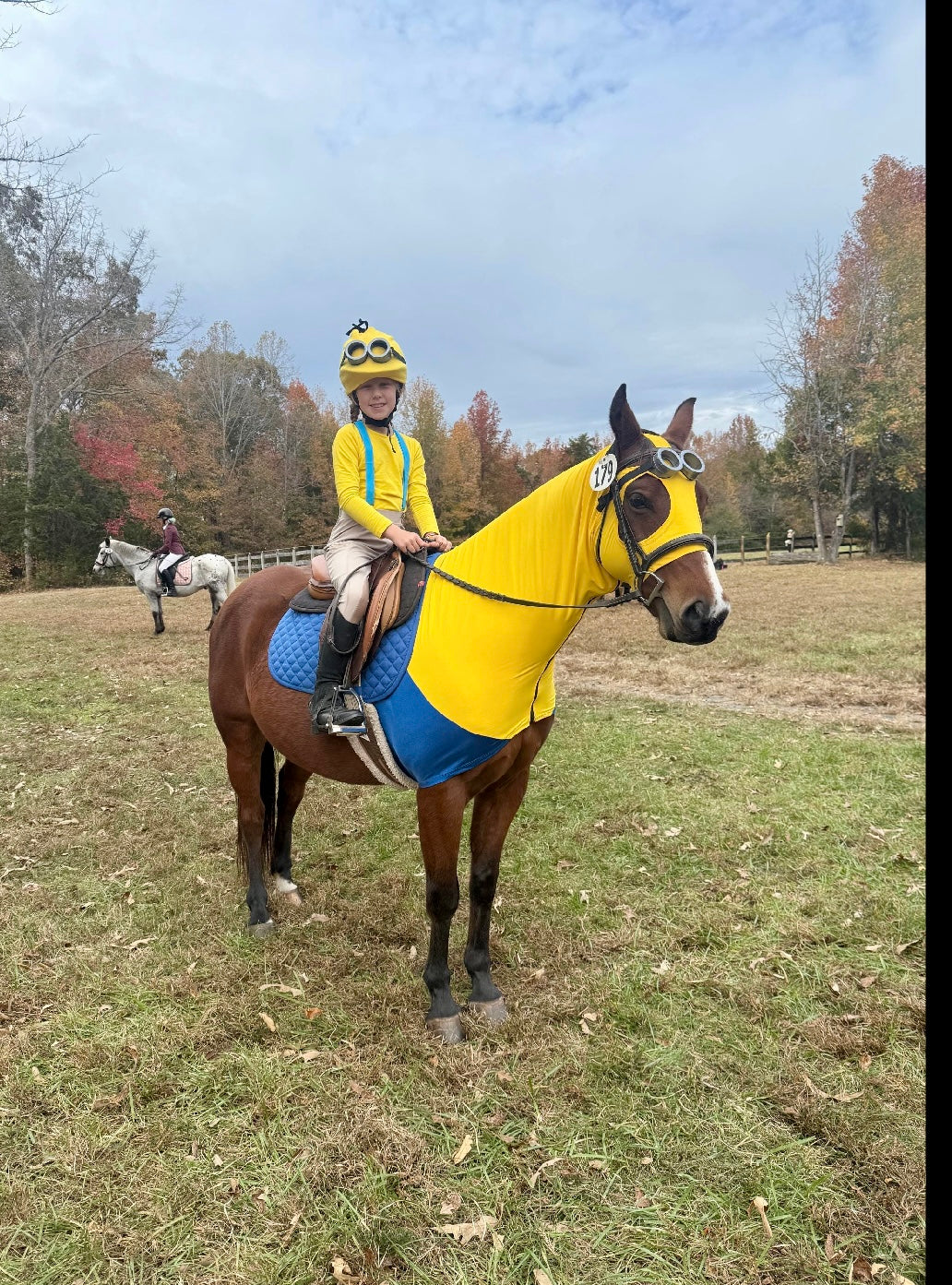 Minions Horse Costume Hood