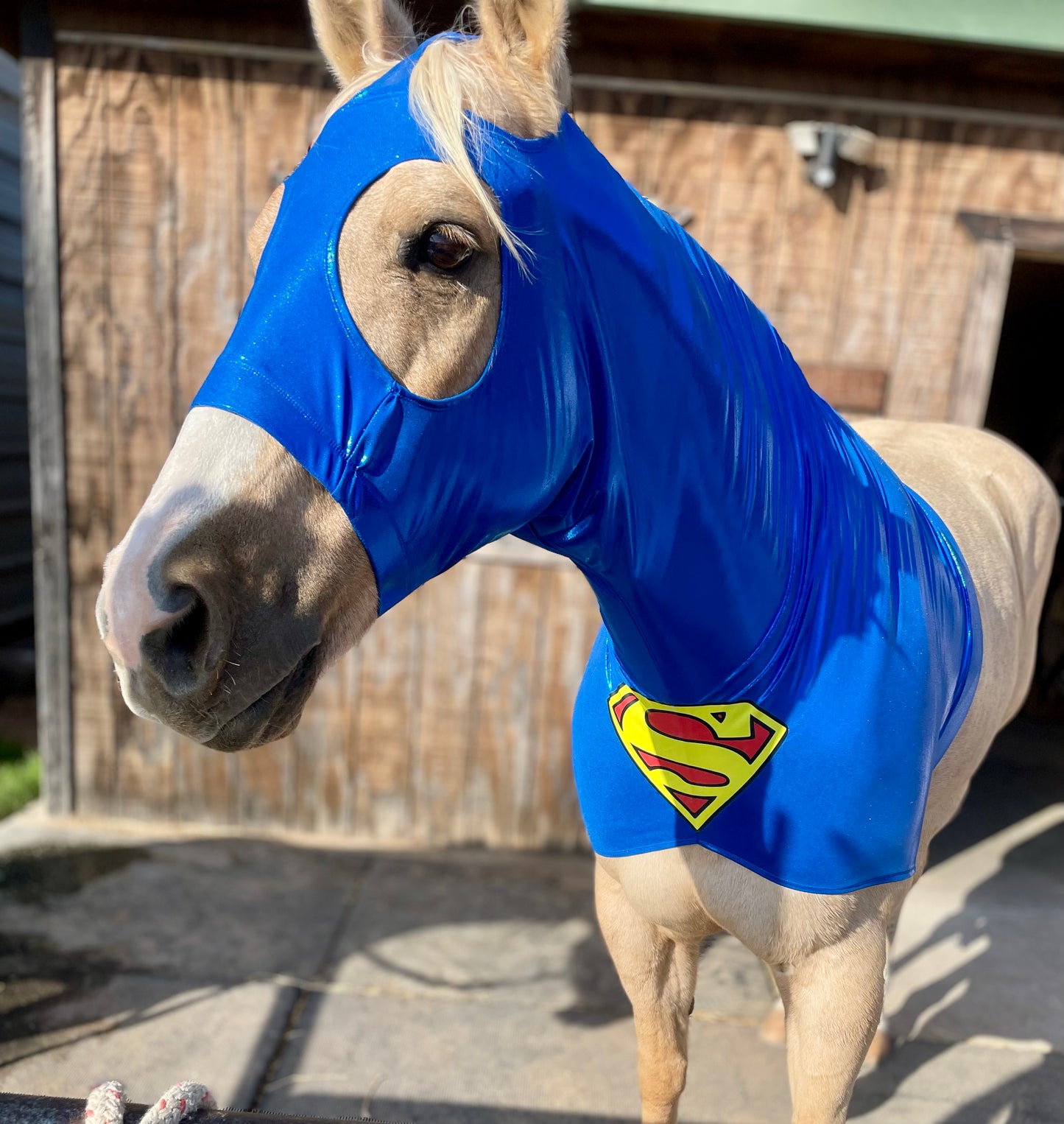 Superman Horse Costume Hood