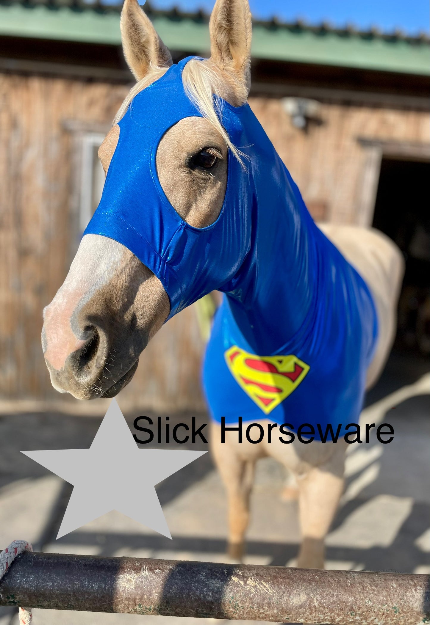 Superman Horse Costume Hood