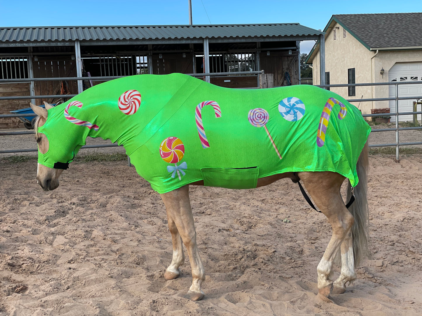 Candy Horse Costume Full Body
