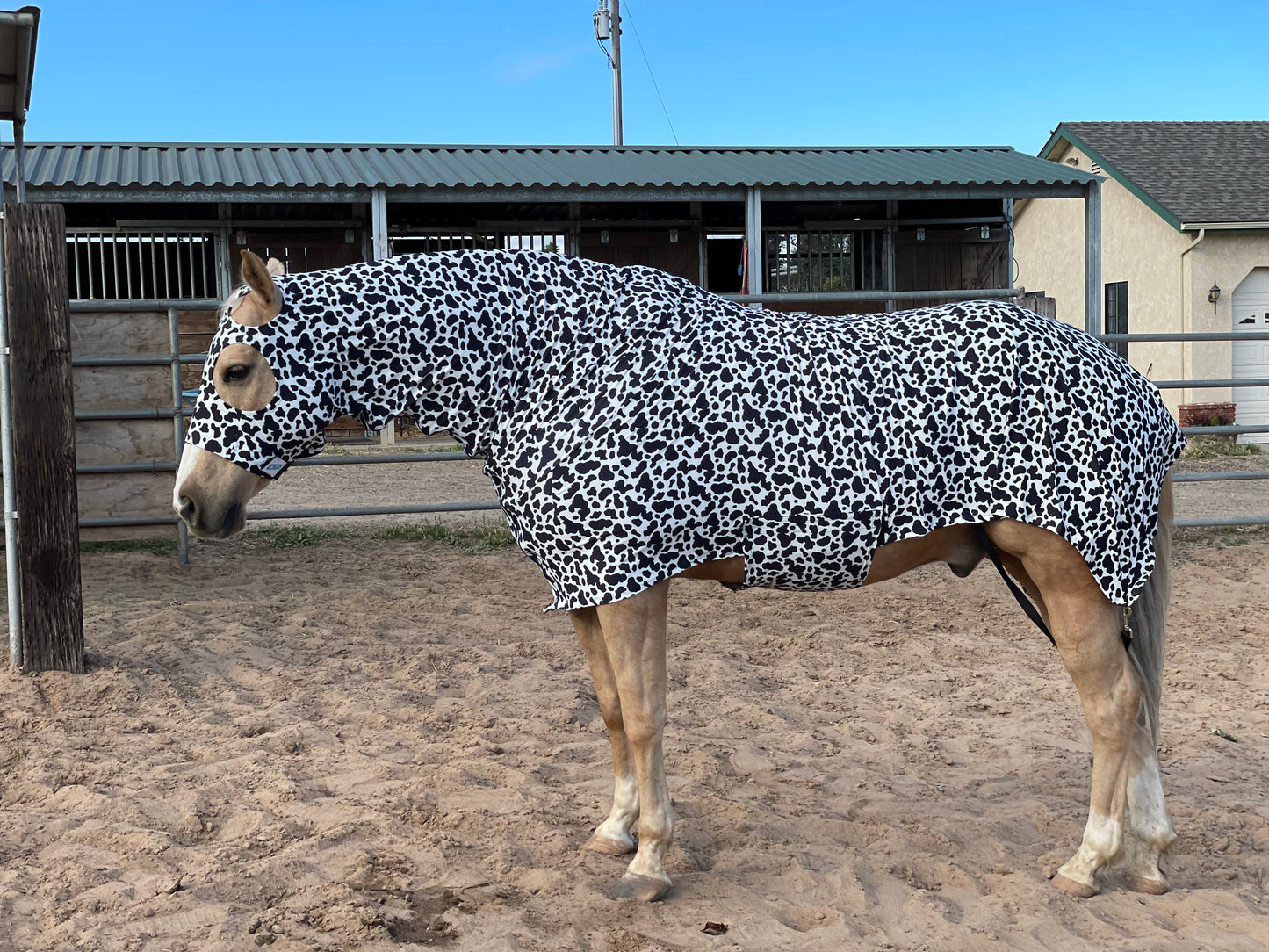 Cow Print Horse Costume Full Body