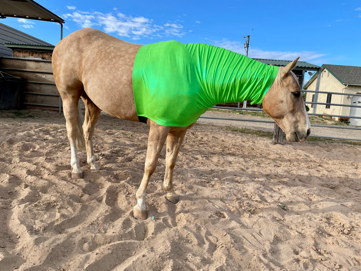 Metallic Lime Green Faceless Hood Sleazy