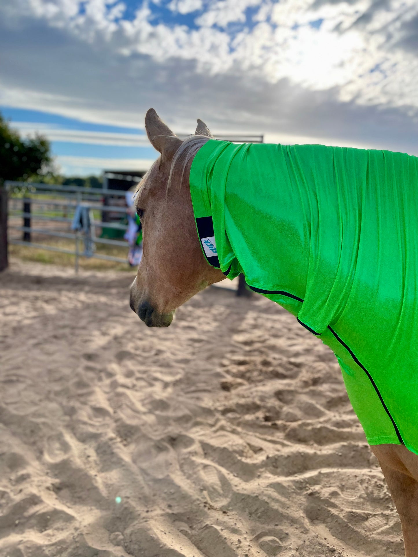 Metallic Lime Green Faceless Hood Sleazy