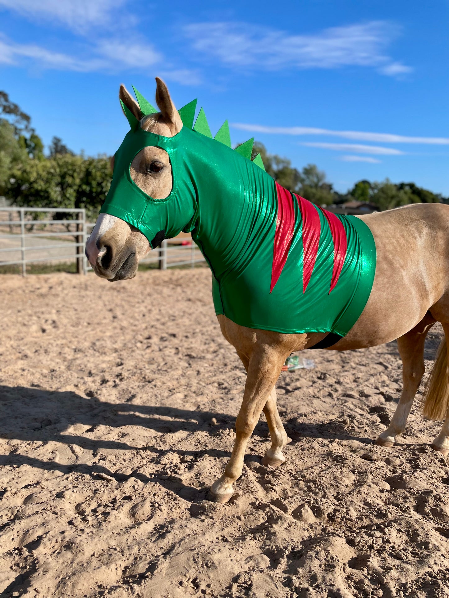 Dinosaur Horse Costume Hood and Tailbag