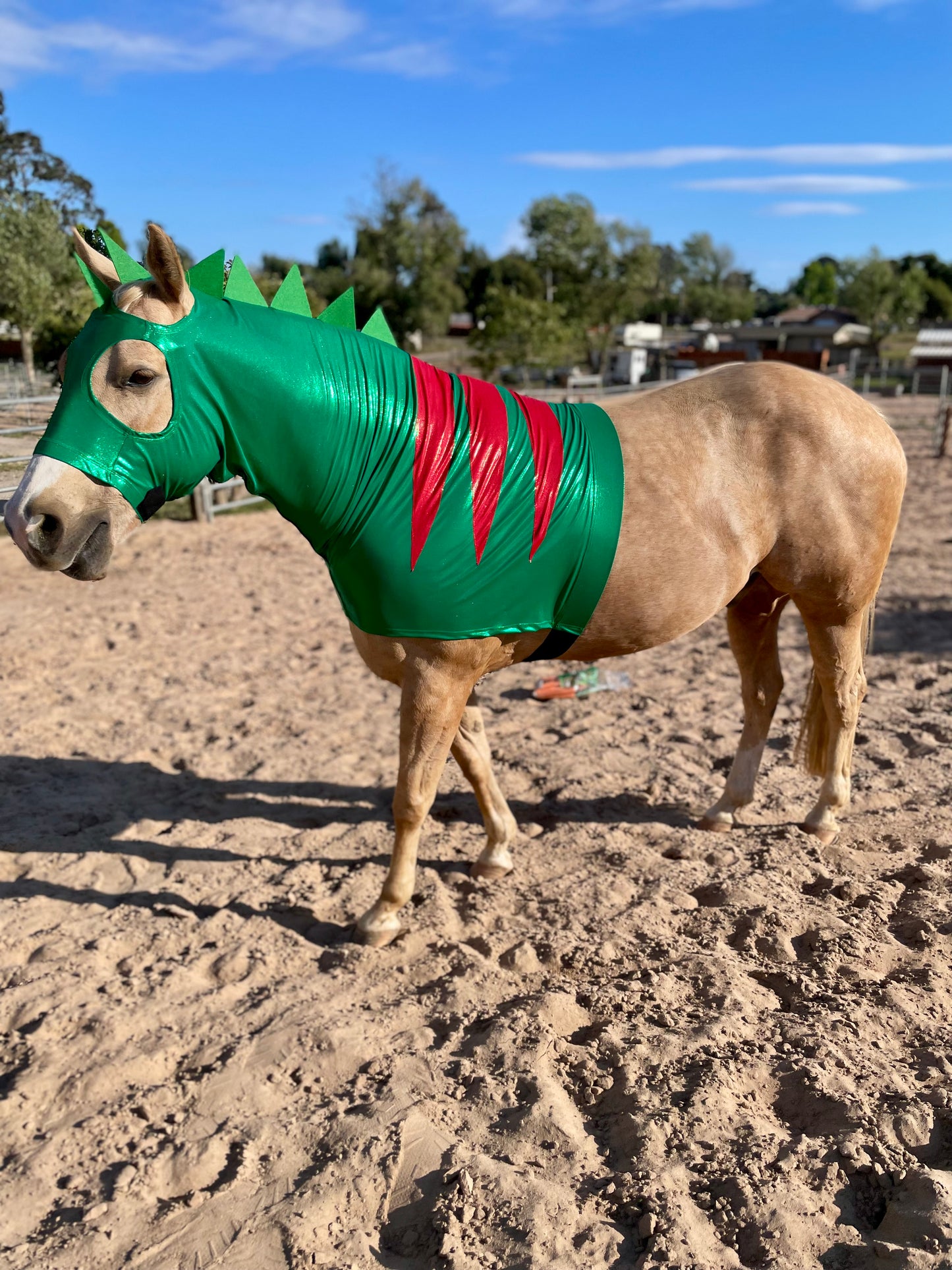 Dinosaur Horse Costume Hood and Tailbag