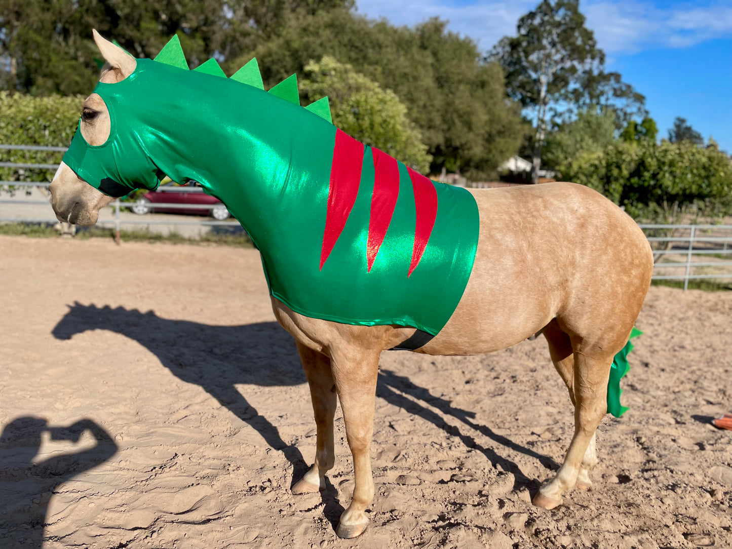 Dinosaur Horse Costume Hood and Tailbag