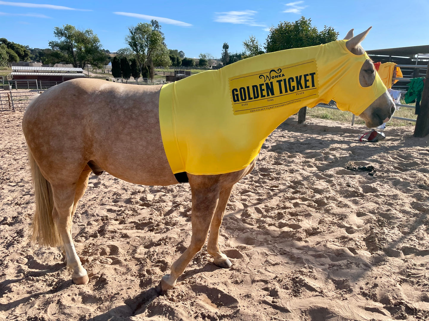 Golden Ticket Horse Costume Hood