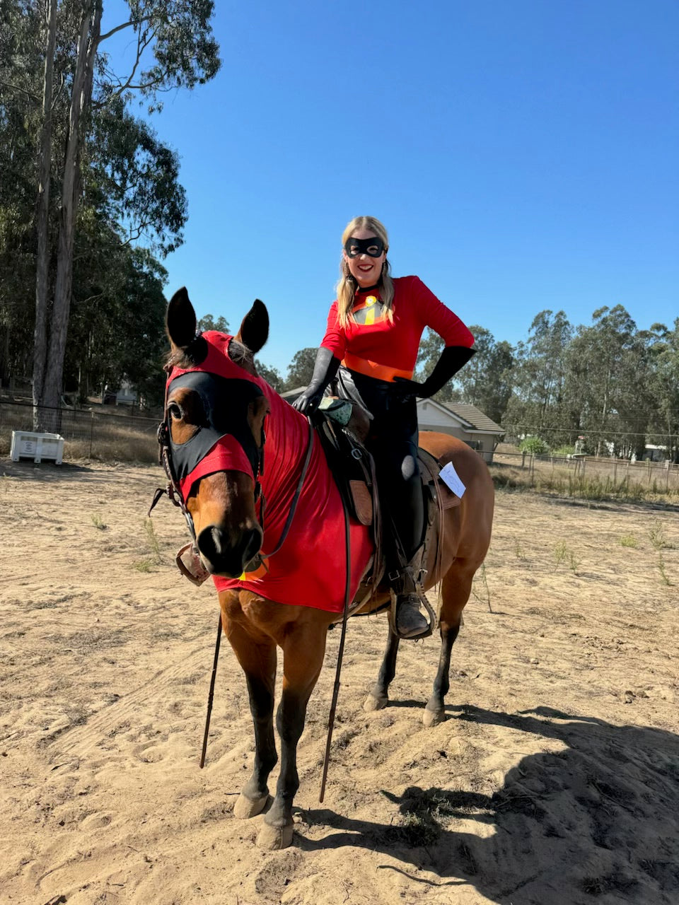 Incredibles Horse Costume Hood