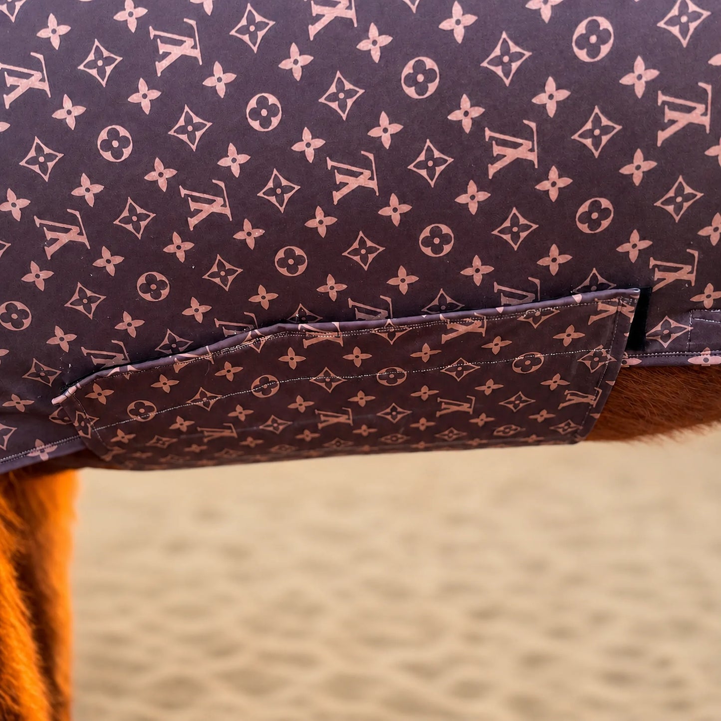 Close-up of a full body sleazy belly section, shown on a horse with its brown fur visible at the edges.
