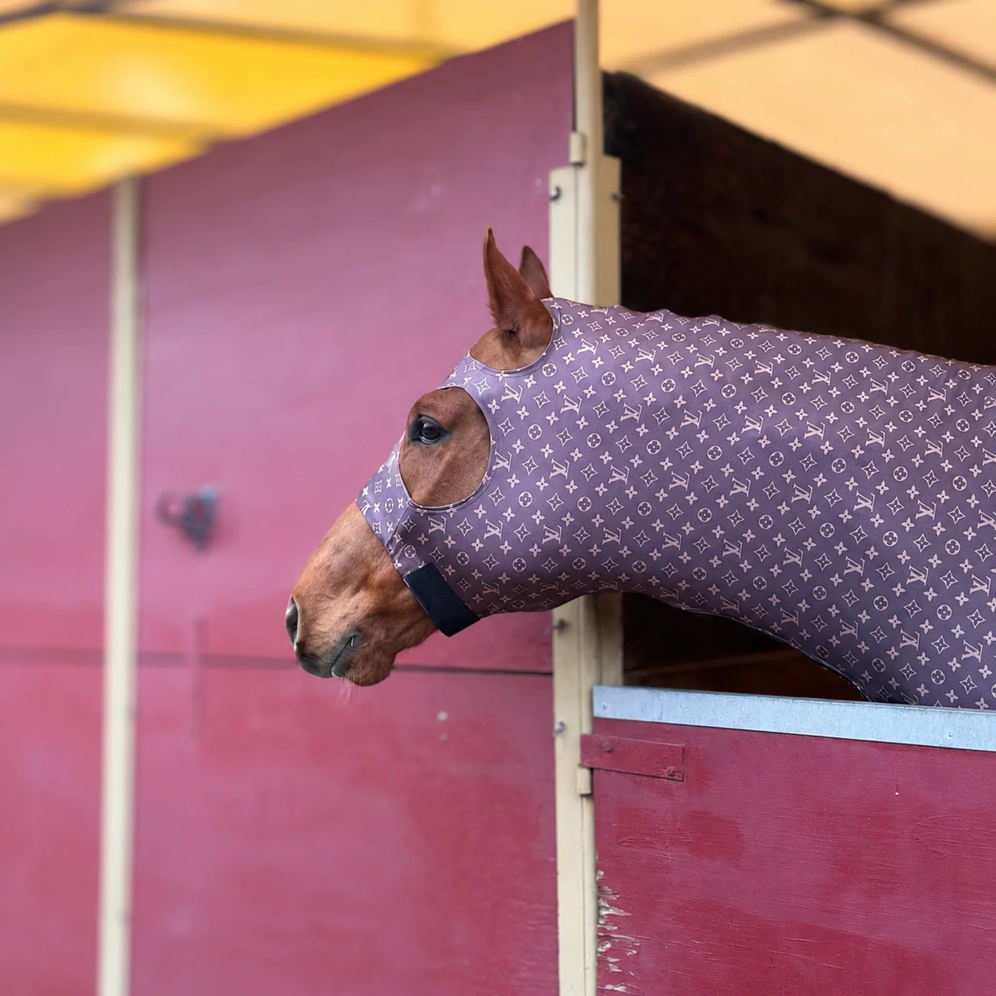 A brown horse wearing a LV brown sleazy hood stands in a red horse stable doorway.