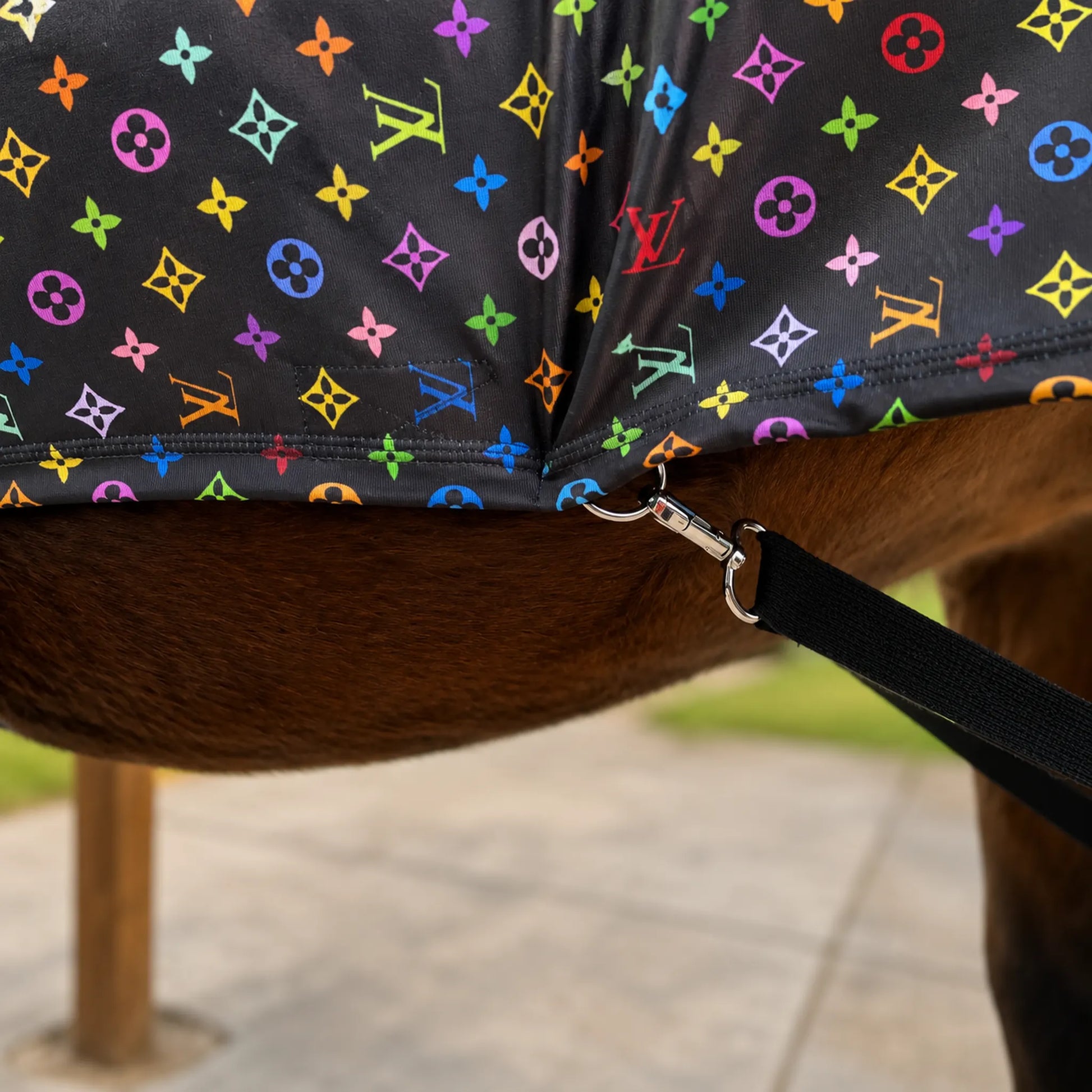 Close-up of a horse wearing a LV color full body sleazy, attached to a black strap with metal hardware.