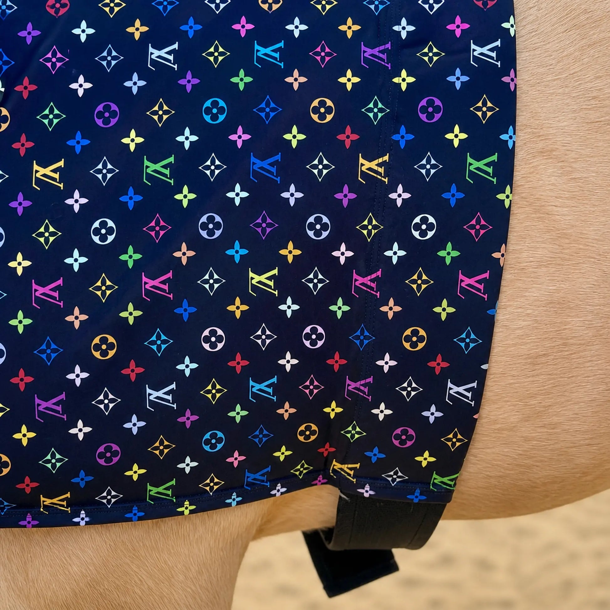 Close-up of a person wearing shorts with a LV color sleazy hood belly view, with visible skin and a sandy outdoor background.