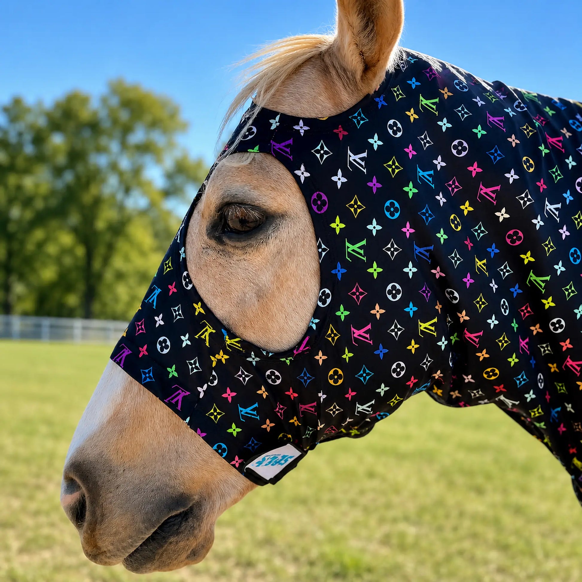 A close-up of a horse outdoors wearing a LV color sleazy hood face. The horse's face is visible through cutouts, with a blurred green field and blue sky in the background.