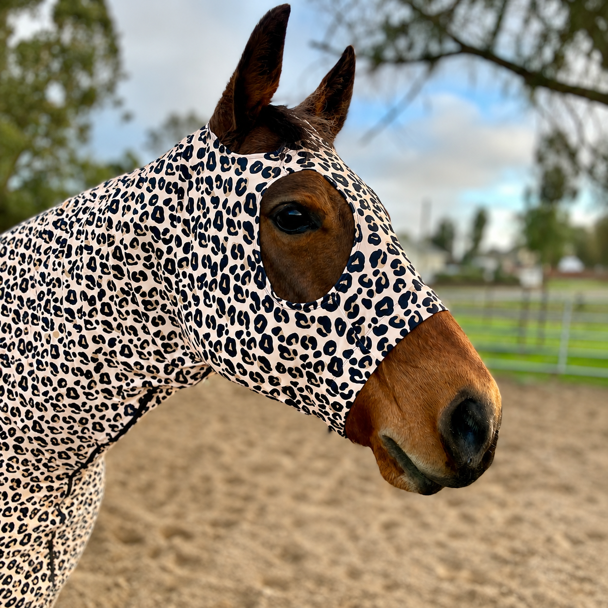 Leopard Full Body Sleazy