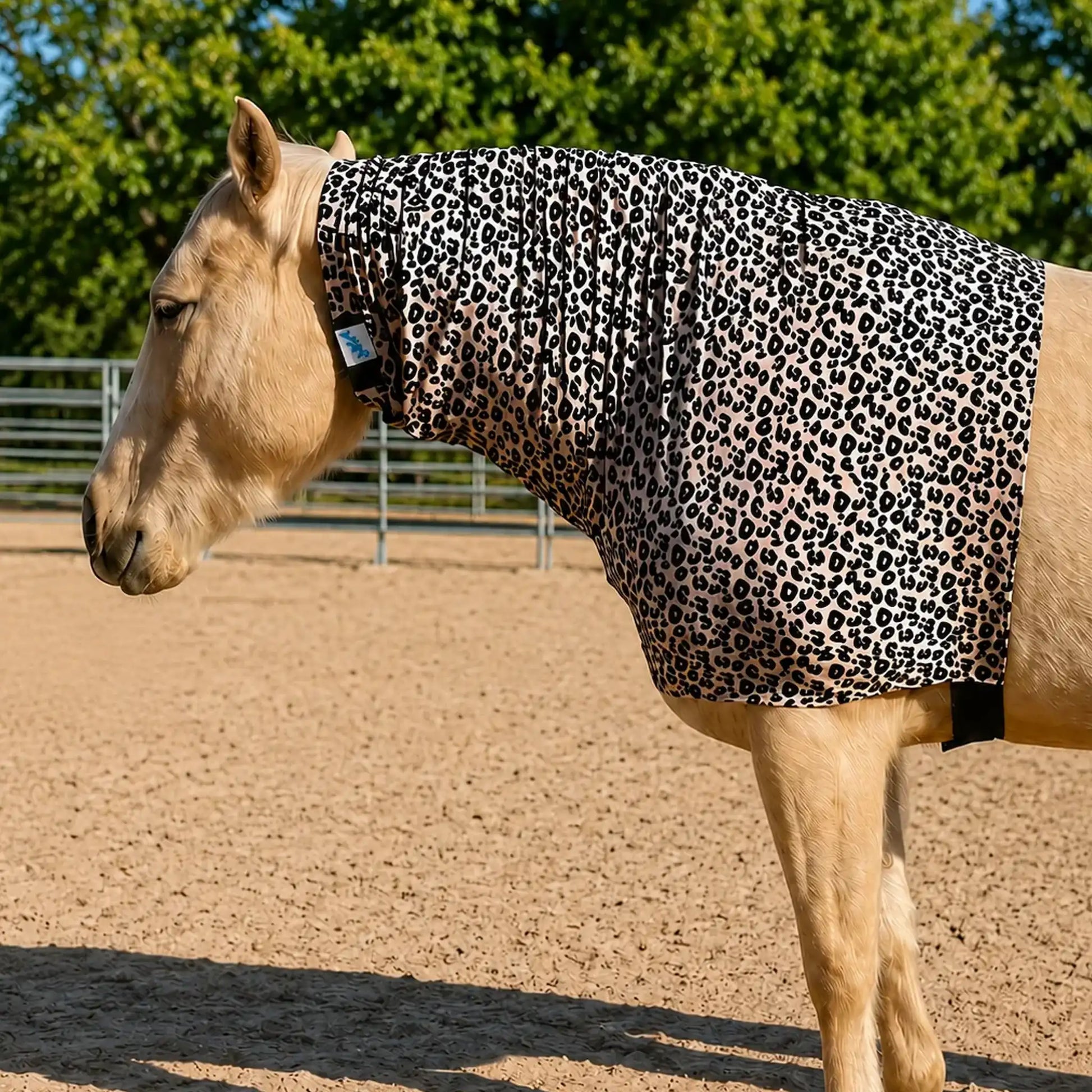 Horse wearing a leopard faceless hood sleazy in an outdoor setting
