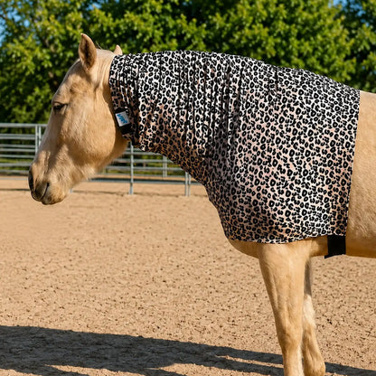 Horse wearing a leopard faceless hood sleazy in an outdoor setting